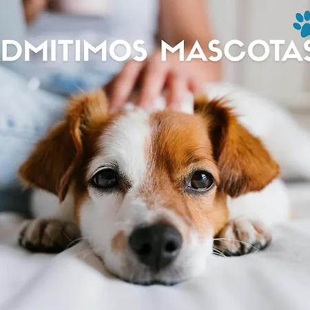 Lägenhetshotell Midi 3000 Formigal