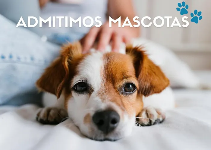 Lägenhetshotell Midi 3000 Formigal